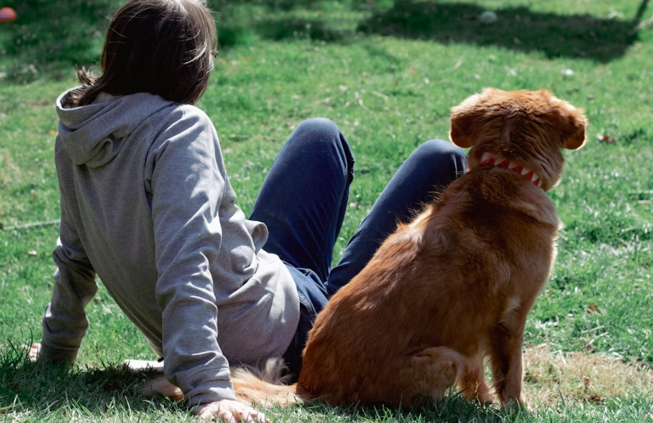 Professional pet care and animal services focused on health, happiness, and well-being for all pets.