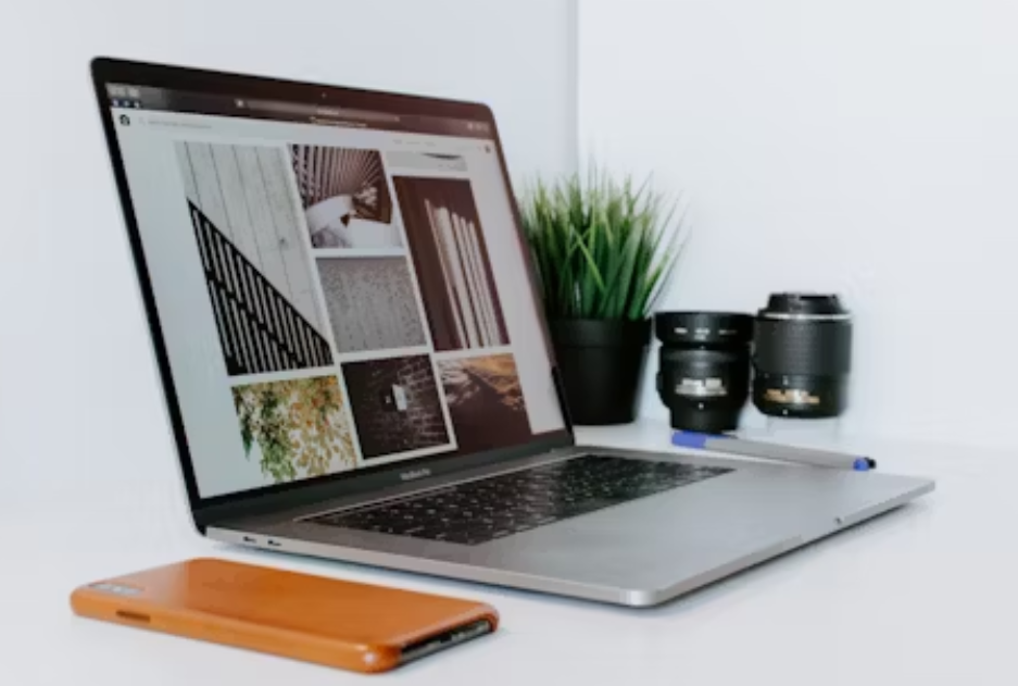 web design development agency